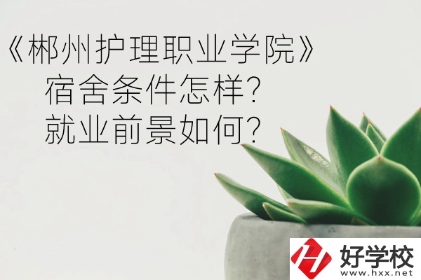 郴州護(hù)理職業(yè)學(xué)院宿舍條件怎樣？就業(yè)前景如何？