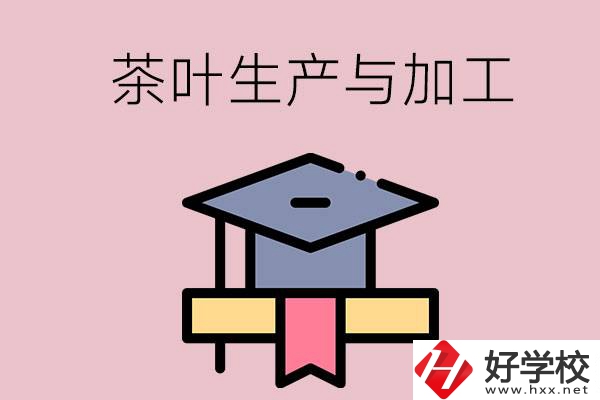 湖南哪些技校開設(shè)了茶葉生產(chǎn)與加工專業(yè)？