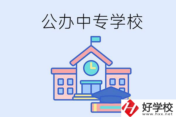 湘西一共有多少所公辦的中專學(xué)校？