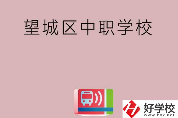 長沙望城區(qū)有哪些中職學(xué)校？