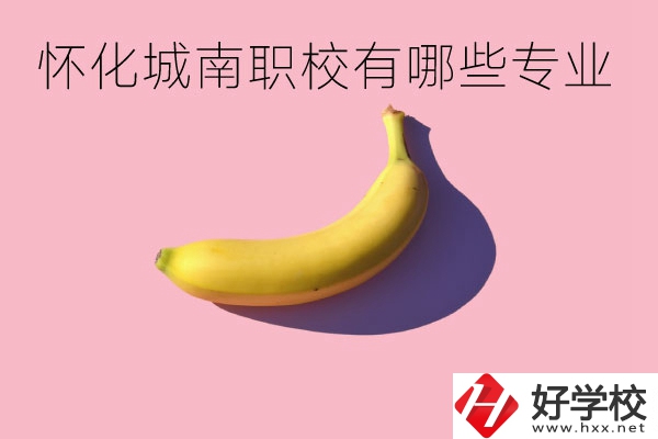 懷化城南職業(yè)學(xué)校有哪些專業(yè)？學(xué)校好不好？