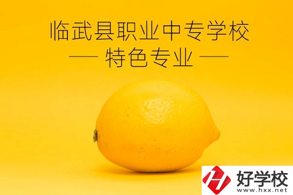 臨武縣職業(yè)中專學校好嗎？有哪些特色專業(yè)？