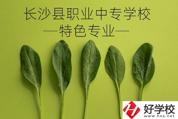 長(zhǎng)沙縣職業(yè)中專學(xué)校怎么樣？有什么特色專業(yè)？