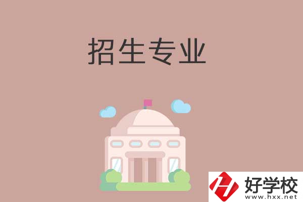 益陽有哪些高職院校設(shè)立了中職部？招生專業(yè)有哪些？