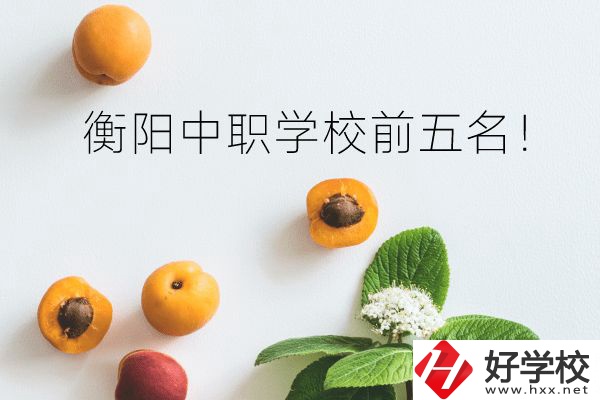 衡陽中職學(xué)校前五名！你選對了嗎？