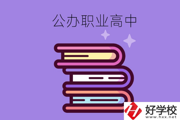 長(zhǎng)沙市有哪些公辦職業(yè)高中學(xué)校？