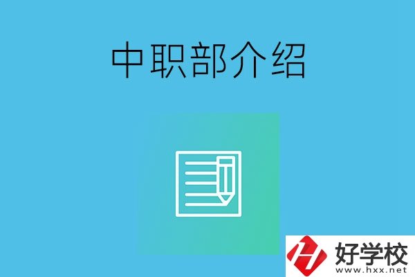 湘潭院校中職部介紹，這幾所學校你知道嗎？