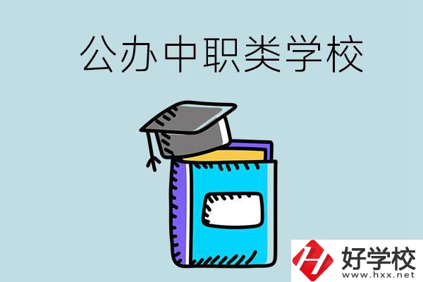 湘西的公辦中職類學(xué)校一共有多少所？