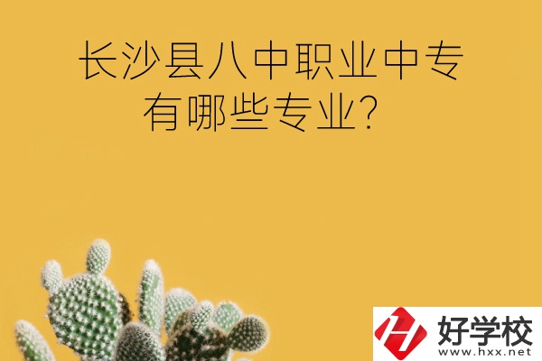 長沙縣八中職業(yè)中專好不好？有哪些專業(yè)？