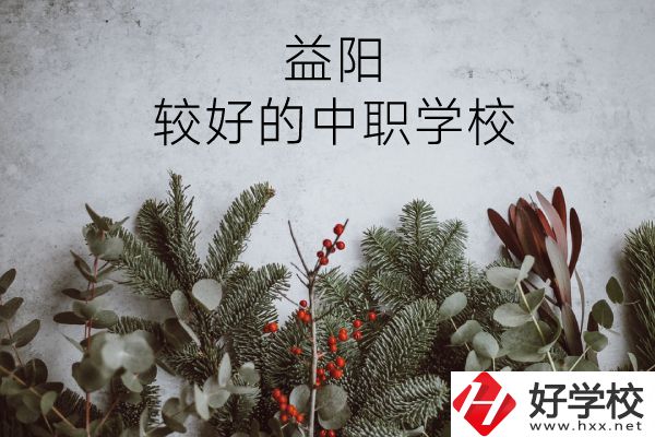 益陽(yáng)有哪些中職學(xué)校比較好？