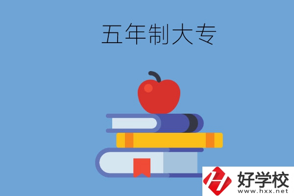 長(zhǎng)沙開設(shè)教育類專業(yè)的五年制大專有哪些？