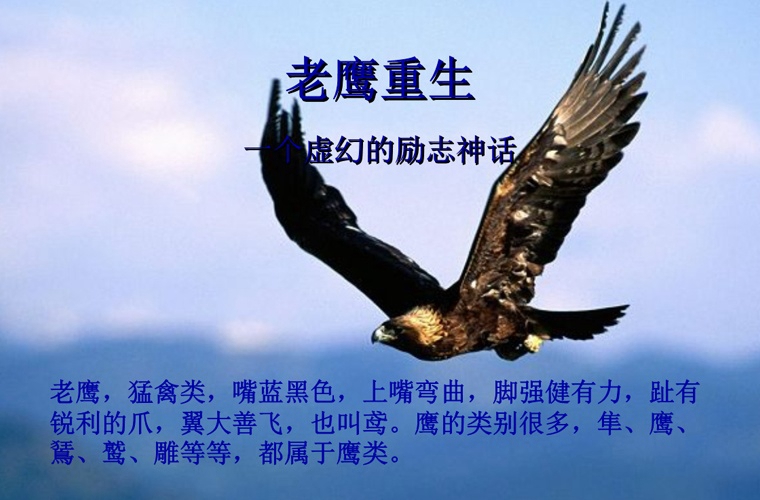 四川省實用中等專業(yè)學校2024年學費多少錢一年