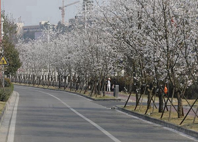 定西工貿(mào)中等專業(yè)學(xué)校2025年報(bào)名需要滿足哪些條件