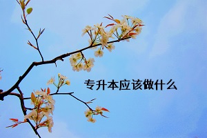 專升本應該做什么