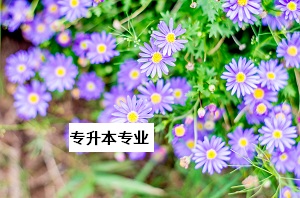 專(zhuān)升本專(zhuān)業(yè)