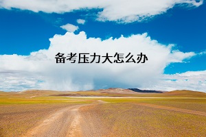 備考?jí)毫Υ笤趺崔k