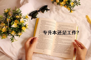 專升本還是工作？