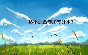 適不適合參加專升本？