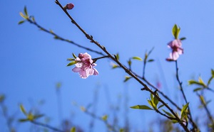 注重基礎(chǔ)