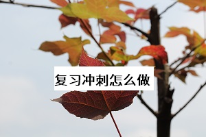 復習沖刺怎么做