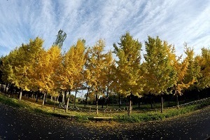 大專第三年才開始準(zhǔn)備普通專升本考試來得及嗎？該如何備考？