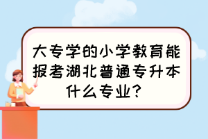 大專學(xué)的小學(xué)教育能報(bào)考湖北普通專升本什么專業(yè)？