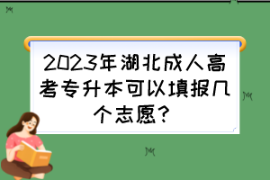 2023年湖北成人高考專升本可以填報幾個志愿？